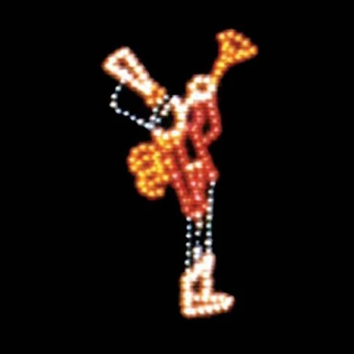 10' X 6' Trumpeter, LED