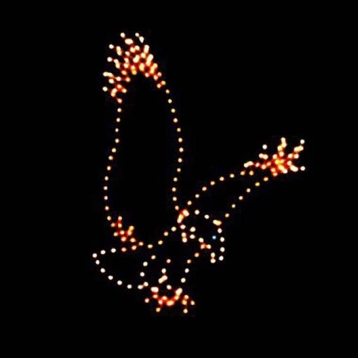 10' X 6' Descending Eagle, LED