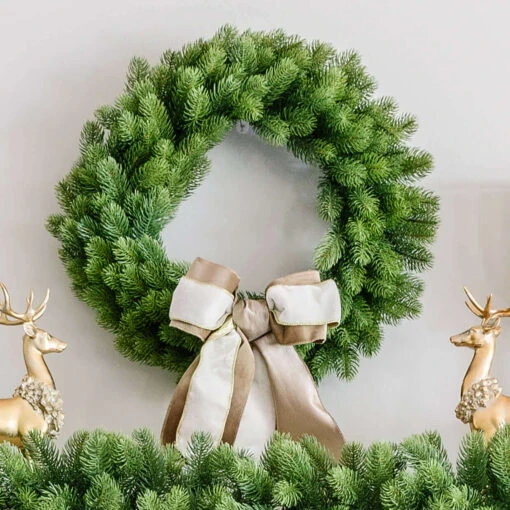 King Of Christmas 24" Royal Fir Wreath Unlit