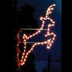 Leaping Buck